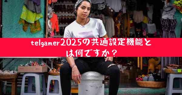 telgamer2025の共通設定機能とは何ですか？