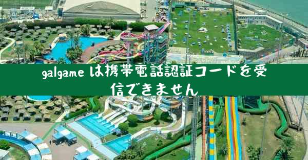 galgame は携帯電話認証コードを受信できません