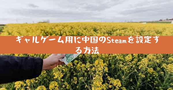 ギャルゲーム用に中国のSteamを設定する方法